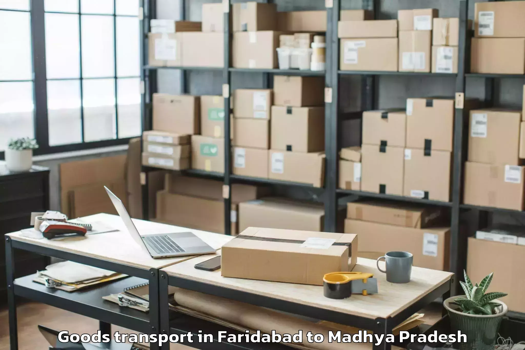 Book Your Faridabad to Porsa Goods Transport Today